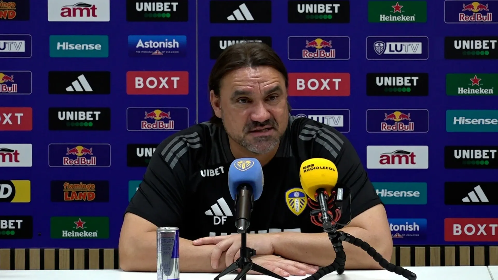 Daniel Farke: Der Aufstieg und Fall des Gladbach-Coaches in nur 100 Tagen!