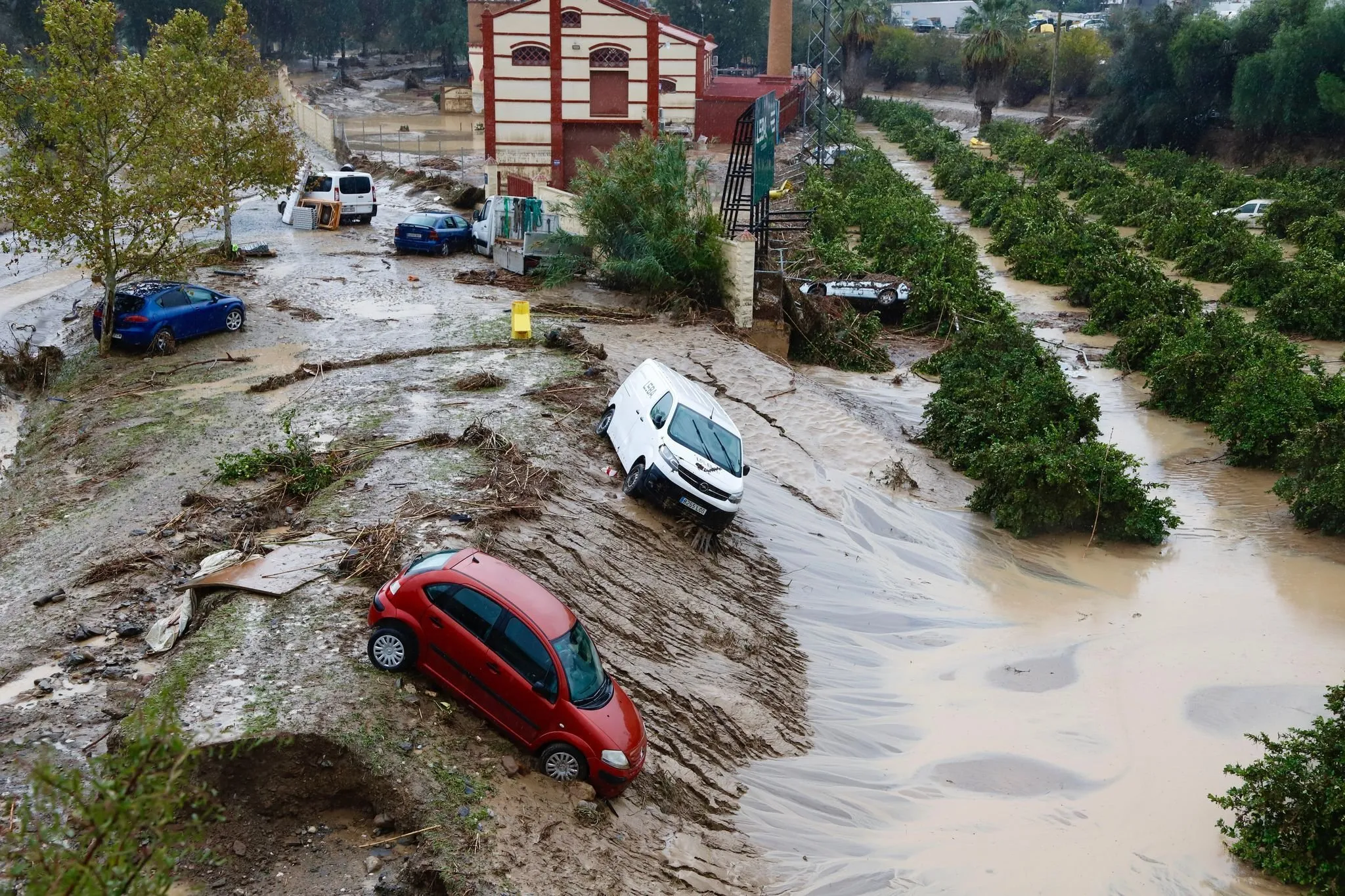 Malaga: Das geheime Juwel Spaniens, das du unbedingt entdecken musst!