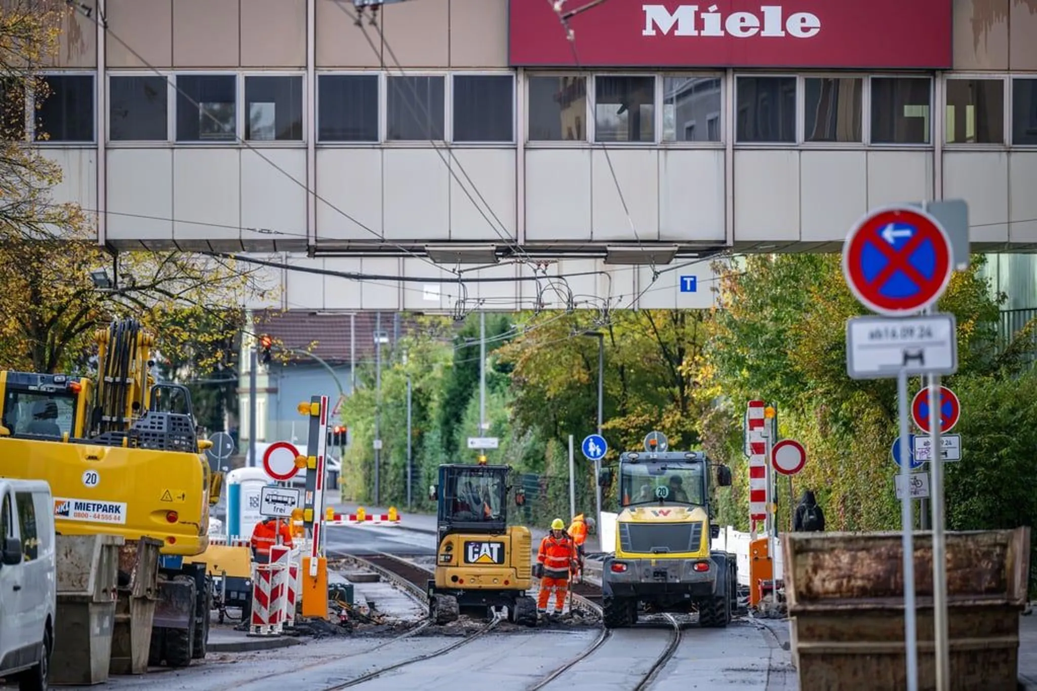 Wildtiere in Bielefeld: Die Stadt wird zum Naturparadies!