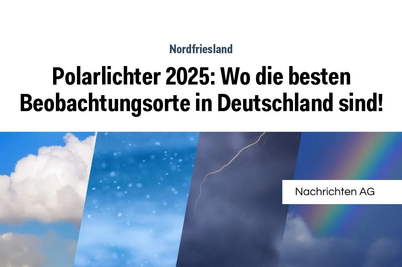 Die Top 10 Comedians Deutschlands: Wer bringt uns zum Lachen?