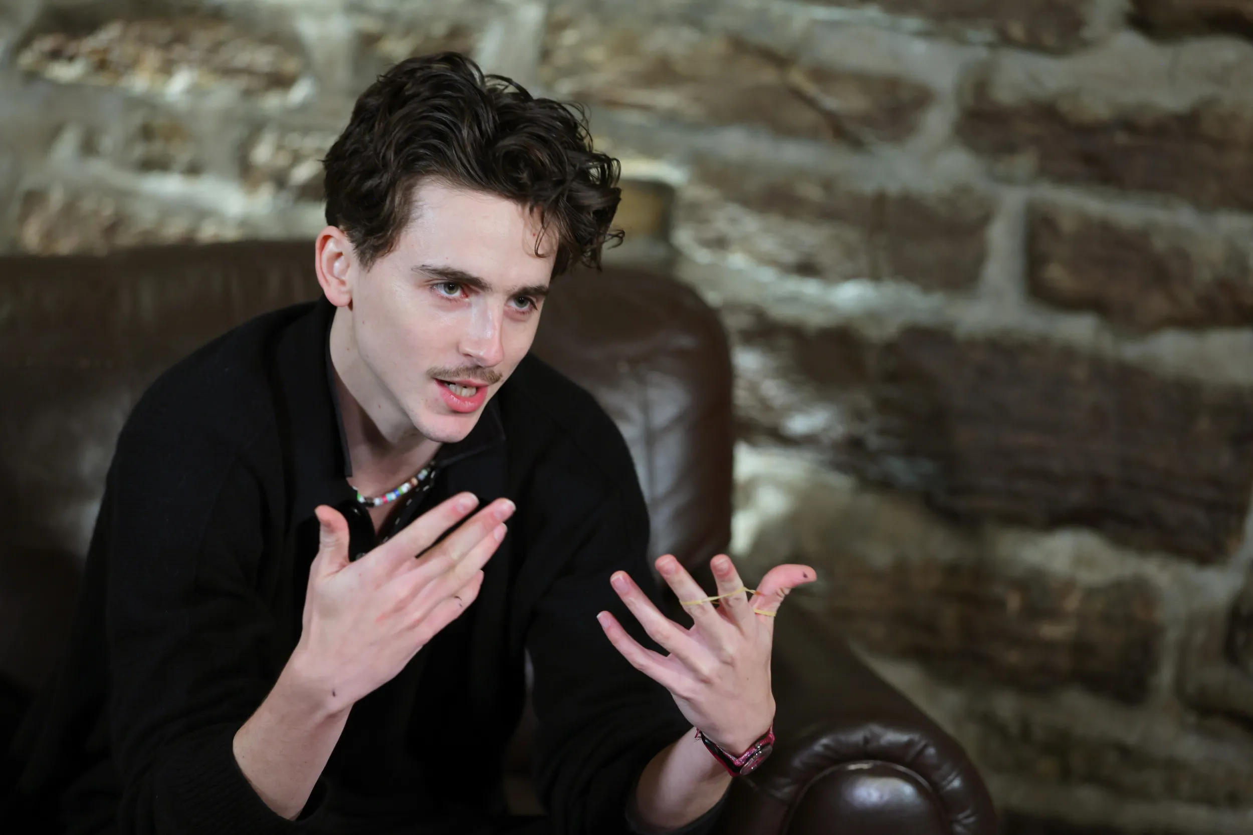 Timothée Chalamet: Der neue Hollywood-Star, der Bob Dylan begeistert!