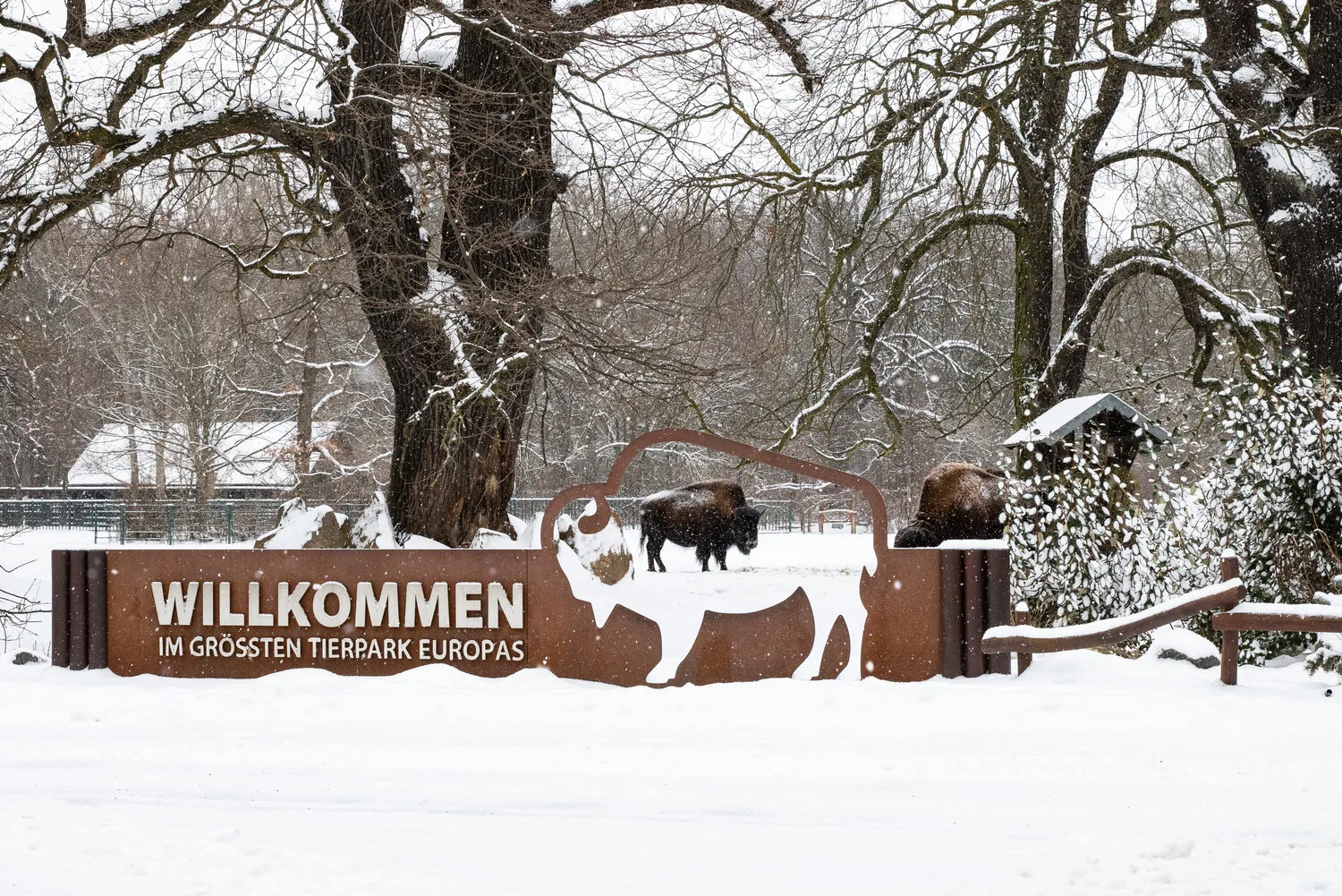 Entdecke die Geheimnisse des Tierparks Berlin: Ein unvergessliches Abenteuer für die ganze Familie!