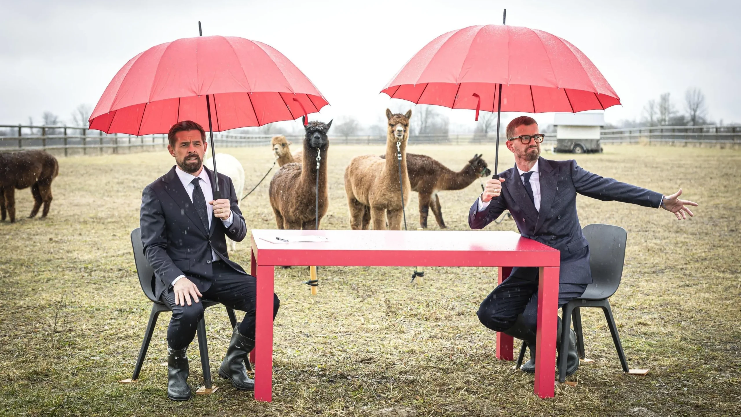 Joko & Klaas: Das Quiz, das Deutschland begeistert – So gut ist "Ein sehr gutes Quiz"!