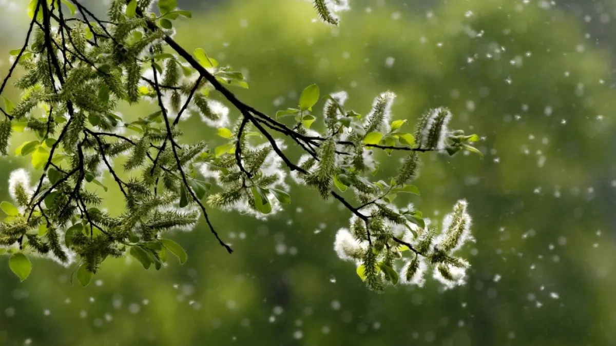 Schockierende Wetterwende in Kassel: So extrem wird der Herbst 2023!