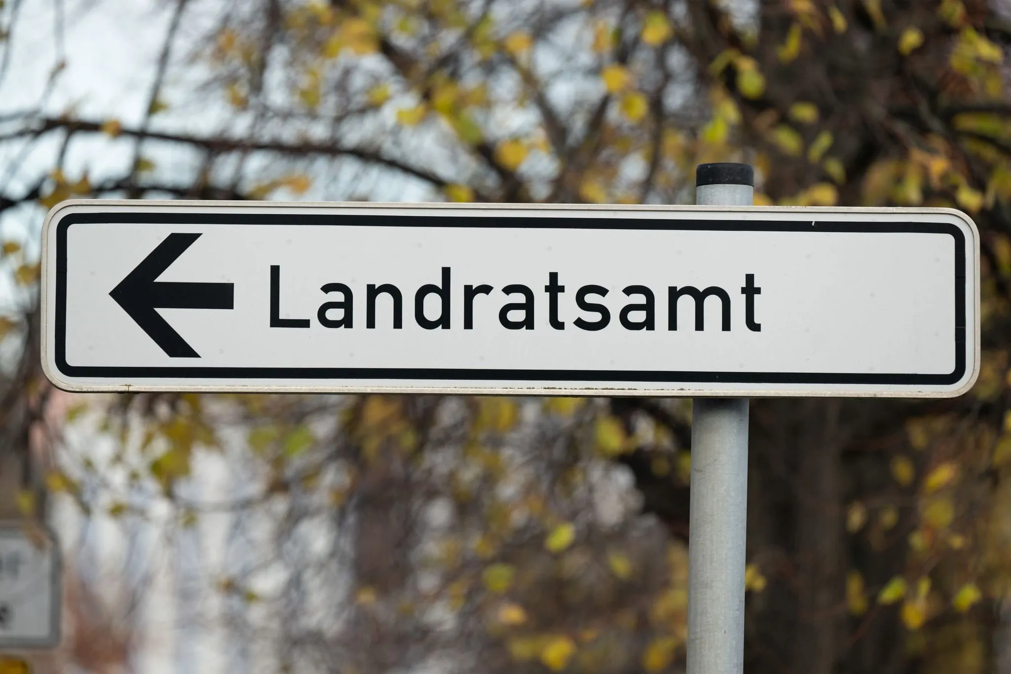 Neubrandenburg im Wahlfieber: Wer wird die Stadt erobern?