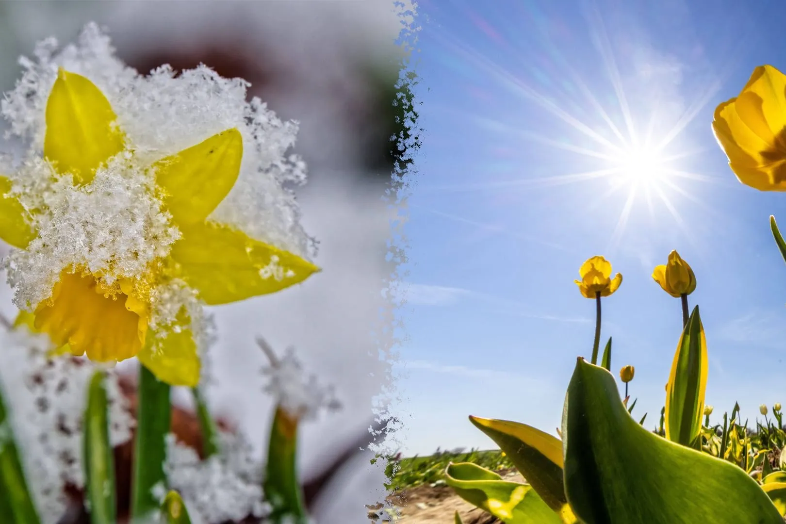 Spanien unter Hagel-Attacke: Naturgewalt sorgt für Chaos und Zerstörung!